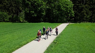 Schnupperpilger von oben: Eine Drohnenaufnahme zeigt die Pilgergruppe auf einem Feldweg.