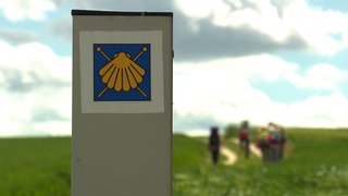 Eine gelbe Muschel auf blauem Grund hilft Pilgern auf dem Jakobsweg, den richtigen Weg zu finden.