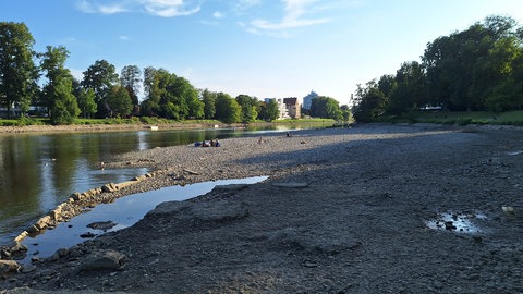 Auswirkungen der Donauabsenkung um zwei Meter: Der Fluss ist schmal, der Kiesstrand am Ulmer Ufer dagegen sehr breit geworden. 