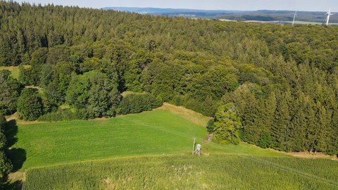 Ein Jäger hat bei der Wildschweinjagd im Ostalbkreis wohl versehentlich einen Kollegen am Kopf getroffen. 