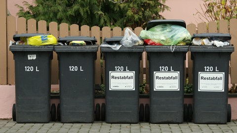Mülltonnen vor einem Zaun (Symbolbild): Die Berechnung der Müllgebühren im Kreis Neu-Ulm hat sich verändert - zum Ärger einiger Bürgerinnen und Bürger. 