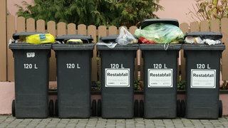 Mülltonnen vor einem Zaun (Symbolbild): Die Berechnung der Müllgebühren im Kreis Neu-Ulm hat sich verändert - zum Ärger einiger Bürgerinnen und Bürger. 