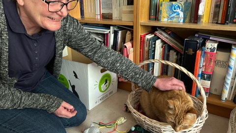 Liebt seine gewohnte Umgebung: Für Kater Frederick ist notfalls die Catsitterin ganz okay.