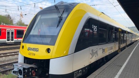 Zug der SWEG auf der Brenzbahn. Die Vorstellungen über den Ausbau gehen weit auseinander.