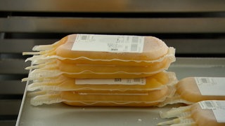 Blutkonserven sind übereinandergestapelt. In den Beuteln ist helles Plasma zu sehen. Zum Weltblutspendetag 2025 warnen Fachleute vor einem Engpass bei der Blutspende.