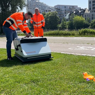 "Fiffi" in Action: Die Gummienten auf der Donauwiese in Ulm hat der Müllroboter erkannt - und umkurvt.