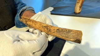 Archäologen der Universität Tübingen haben im Hohle Fels bei Schelklingen im Alb-Donau-Kreis das weltweit bislang größte Werkzeug aus Elfenbein entdeckt. Der Fund ist am Donnerstag im Urgeschichtlichen Museum in Blaubeuren präsentiert worden. 