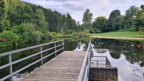 Im Badesee in Schnürpflingen (Alb-Donau-Kreis) sind bei einer Routinekontrolle E.coli-Bakterien etndeckt worden. Vielleicht kann aber in den nächsten Tagen Entwarnung gegeben werden.