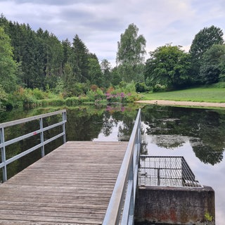 Im Badesee in Schnürpflingen (Alb-Donau-Kreis) sind bei einer Routinekontrolle E.coli-Bakterien etndeckt worden. Vielleicht kann aber in den nächsten Tagen Entwarnung gegeben werden.