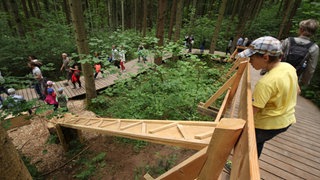 Unbekannte haben in Schwäbisch Gmünd die Automaten für Holzkugeln der Waldkugelbahn gestohlen. (Archivbild)