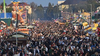 Am Ulmer Hauptbahnhof beginnt für viele die Entscheidung - Wasen oder Wiesn? Einige verschlägt es auf das  Oktoberfest nach München.