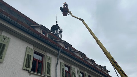 Hoch hinaus geht es für den Storchenbeauftragten Jörg Müller. Er und Ferdinand Erhardt von der gleichnamigen Baumpflegefirma säubern die Nester von Kot und Schlamm, damit die Störche im Frühjahr dort wieder brüten können. 