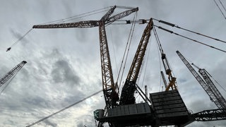 Ein Modell des weltgrößten Raupenkran steht derzeit in Ehingen. Er hebt Lasten von bis zu 3.000 Tonnen und erreicht eine maximale Höhe von 246 Metern – 85 Meter höher als das Ulmer Münster. 