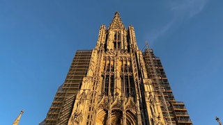 Der Turm des Ulmer Münsters scheint in der Abendsonne.