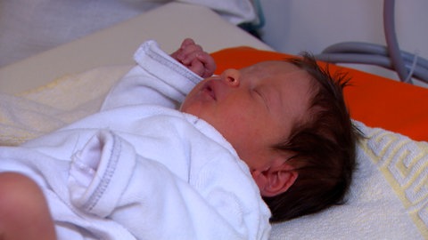 Wie seine beiden älteren Geschwister kam auch der kleine Bruno in Heidenheim zur Welt, und wie seine beiden Geschwister mit einer beachtlichen Haarpracht.