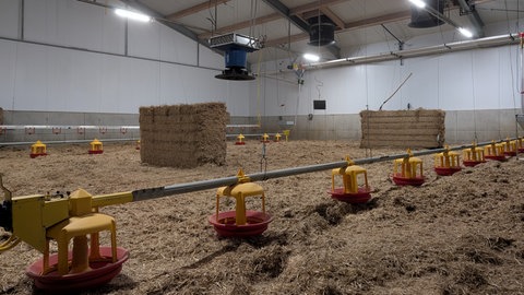 Es kann wieder losgehen: Die Ställe des Geflügelhofs in Öllingen sind gereinigt, desinfiziert und frisch eingestreut. Die Tiere können kommen.