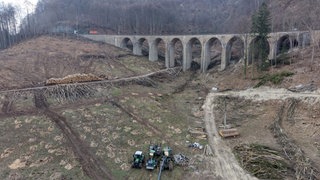 Blick auf den Drackensteiner Hang. Am Drackensteiner Hang gibt es bereits viele kahle Stellen. Hunderte Bäume sind gefällt worden. 