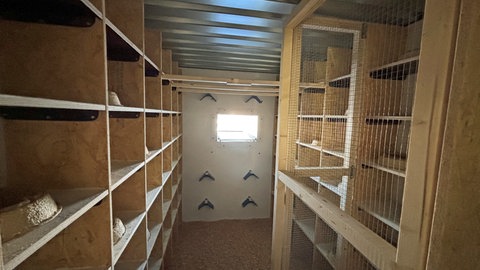 Im Inneren des neuen Taubenhauses auf dem siebten Stock des Ulmer Parkhauses haben bis zu 200 Tauben Platz. Sie setzten sich auf die Holzbalken oder die Brutplätze in den Holzkästchen.