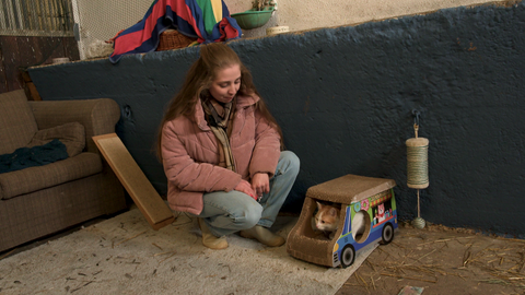 Ob in seiner heimischen Box im Pferdestall oder draußen in seinem Stadtviertel, Kater Pauli steht auf Autos.