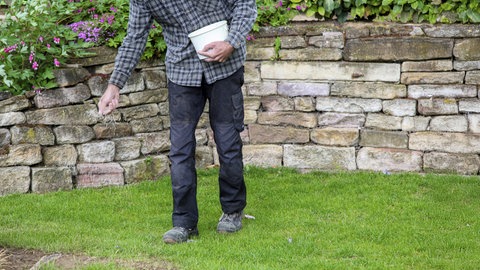 Im Frühjahr sollte der Rasen gedüngt werden.