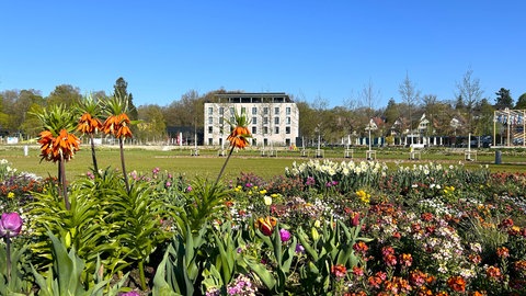 Die Landesgartenschau in Ellwangen hat neben faszinierenden Pflanzenwelten in mehreren Parks auch etliche kulturelle Highlights zu bieten.