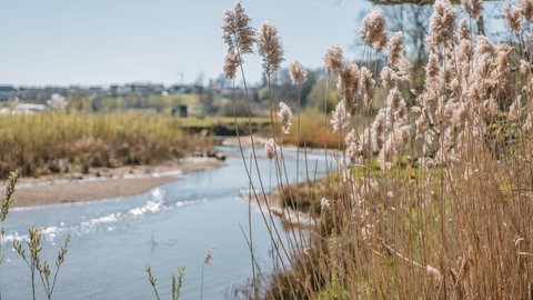 Die renaturierte Jagst ist zentrales Element im Auenpark der Landesgartenschau Ellwangen. 