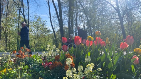 Die Landesgartenschau 2026 in Ellwangen ist eröffnet. 