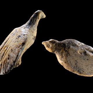 Fund des Jahres aus der Welterbehöhle Hohle Fels: Die beiden Vogelfiguren sind ungefähr so groß wie ein Daumennagel.