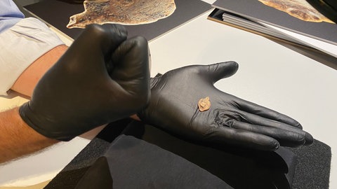 Zu den spektakulären Figuren aus den Höhlen auf der Schwäbischen Alb kommen zwei weitere hinzu: aus Mammutelfenbein geschnitzte Vögel. 