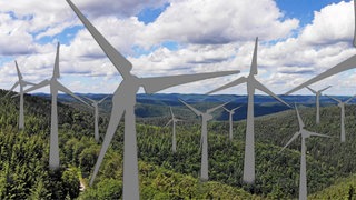 Windräder im Pfälzerwald