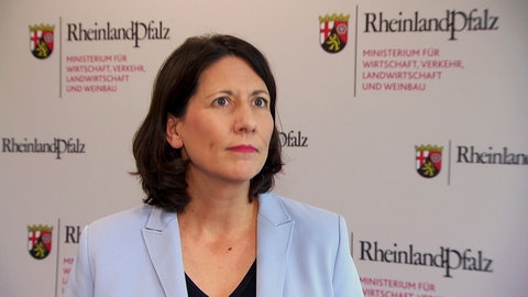 Die rheinland-pfälzische Wirtschafts- und Verkehrsministerin Daniel Schmitt (FDP)