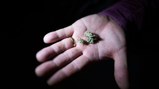 Ein Mann hält Cannabis in der Hand. 