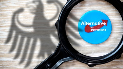 Der rheinland-pfälzische Innenminister Michael Ebling (SPD) hat das Urteil des Oberverwaltungsgerichts Münster zur AfD begrüßt.