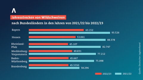 Grafik mit Zahlen zu Wildschweinabschüssen im Vergleich der Bundesländer