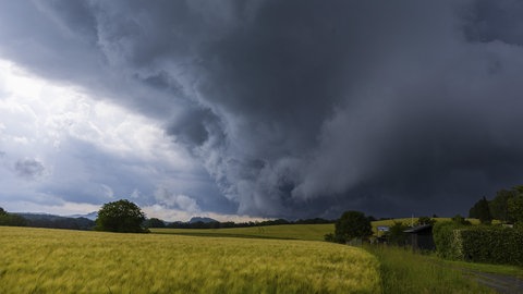 Dunkle Gewitterwolken am Himmel über einem Rapsfeld. (Symbolbild)