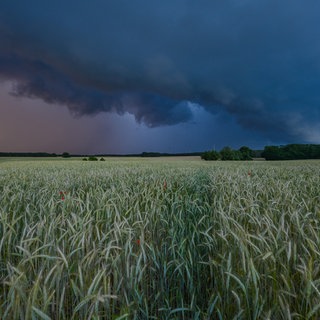 Unwetter drohen in RLP am Samstagabend.
