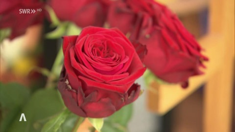 Rosen zum Gedenken an Flutopfer