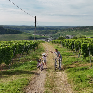 Vater und Tochter schieben ihr Rad zwischen Weinbergen