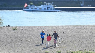 Am Rhein und an weiteren Flüssen in Rheinland-Pfalz wurde am 14. September 2024 Müll gesammelt. Mit der Aktion "RhineCleanUp" wurde deutschlandweit auf die Verschmutzung von Flüssen aufmerksam gemacht.
