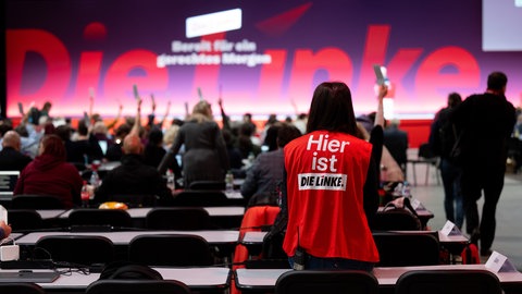 Am Samstag fand in Andernach der Landesparteitag der Partei "Die Linke" statt. 
