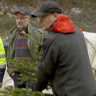 Weihnachtsbaum Werfen