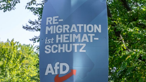 Auf einem AfD-Wahlplakat steht "Remigration ist Heimatschutz". 