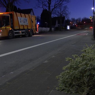 Tannenbäume werden eingesammelt