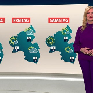 Wettermoderatorin Claudia Kleinert