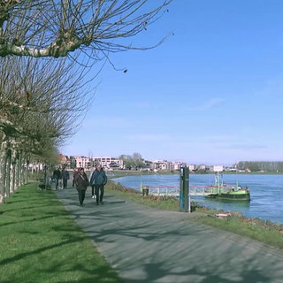 Der Rhein bei Mainz
