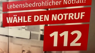 Der Notruf 112 war in Mainz und Umgebung für kurze Zeit ausgefallen. 
