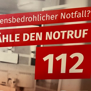 Der Notruf 112 war in Mainz und Umgebung für kurze Zeit ausgefallen. 