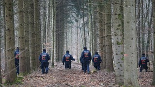 Polizisten durchkämmen ein Waldstück auf der Suche nach einer vermissten Person. In Rheinland-Pfalz werden aktuell mehr als 250 Menschen vermisst, darunter viele Kinder und Jugendliche. (Symbolbild)