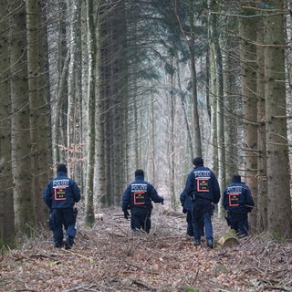 Polizisten durchkämmen ein Waldstück auf der Suche nach einer vermissten Person. In Rheinland-Pfalz werden aktuell mehr als 250 Menschen vermisst, darunter viele Kinder und Jugendliche. (Symbolbild)