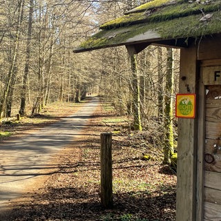 Schilder im Wald, die auf einen sogenannten Leichten Weg hinweisen.